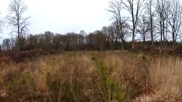 Arrêt avec setter sur bécasse смотреть онлайн