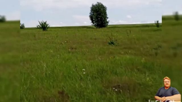 Сказка про лето! смотреть онлайн