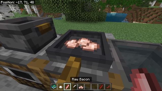 Strat's Food Expansion (v1.6) For MCBE 1.19+ [Minecraft BE/PE Addon] смотреть онлайн