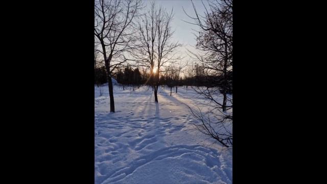 ❄Крещенские морозы...❄(Орша. За 14.01.2021)❄ смотреть онлайн
