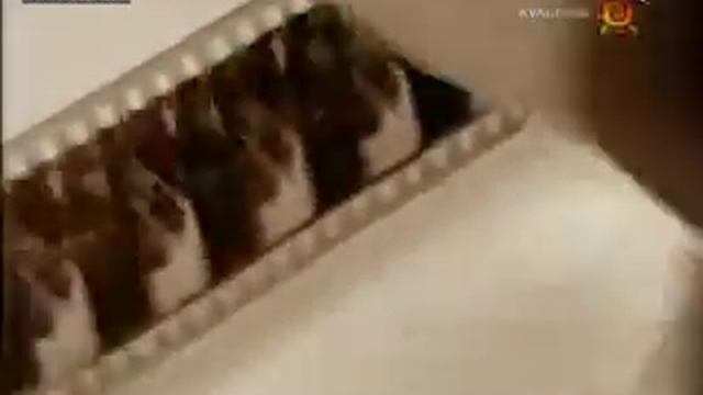 ВсёТВ Неизвестное об известном История пластмасс смотреть онлайн