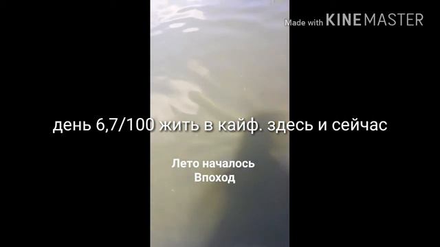 Жить в кайф. Здесь и сейчас день 6.7/100 смотреть онлайн