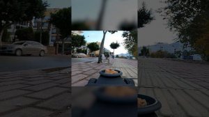 смешные котики. ?