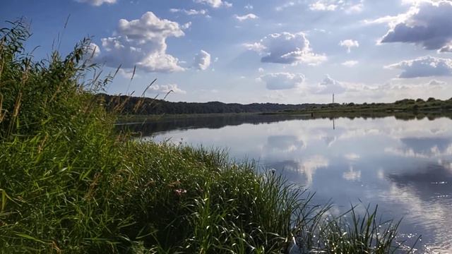 Неман в районе посёлка Большое Село смотреть онлайн