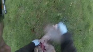 Как разделать оленя в поле