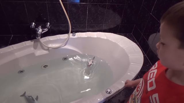 Акула растущая в воде смотреть онлайн