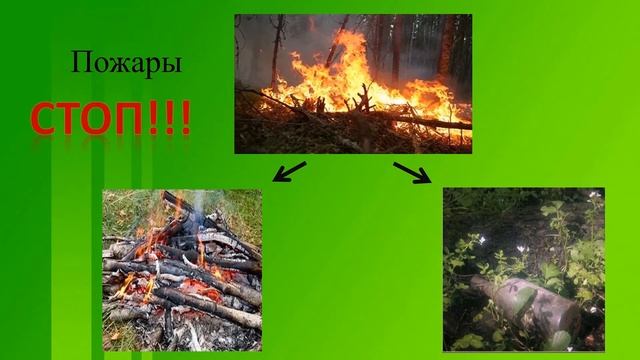 Открывая Красную книгу смотреть онлайн
