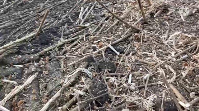 Збираємо соняшник на полі 🚲🚲🚲🌝 смотреть онлайн