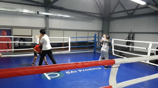 Уроки бокса для начинающих детей смотреть онлайн