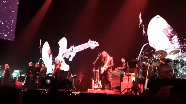 Roger Waters - Dogs, СКК Петербургский, 29.08.2018. смотреть онлайн
