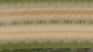 road for phone / дорога для машинки на телефон