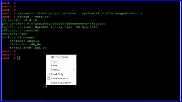 How To Install MongoDB Community Edition on OpenSUSE Leap 42.2 смотреть онлайн