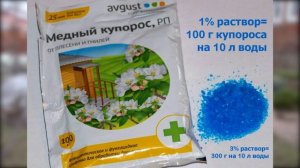 Чем обрабатывать плодовые деревья весной