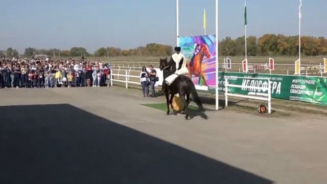 Конкурс "Образ ЧЕРКЕССКОГО всадника" на черкесских лошадях(кабардинская порода) в Адыгее. смотреть онлайн