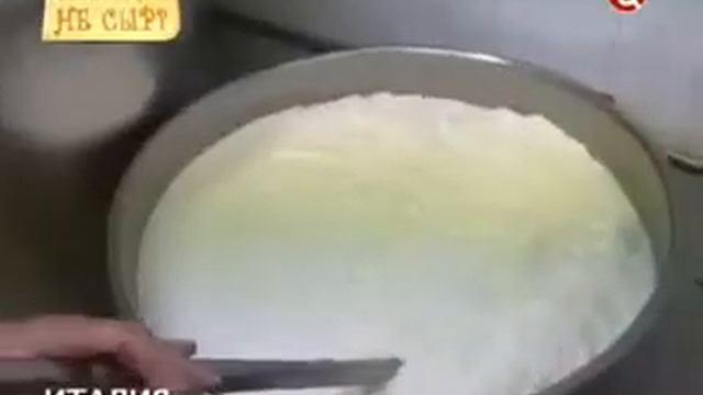 Правда о Сыре смотреть онлайн