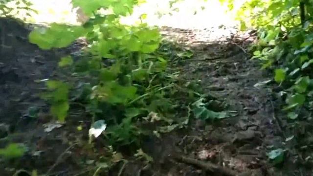 Самодельный квадроцикл из отечественных комплектующих. смотреть онлайн