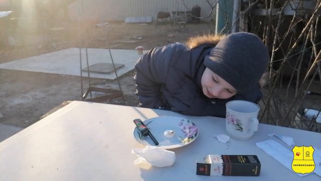 Эксперимент «Фараоновы змеи» в домашних условиях (в 20 раз дешевле, чем в наборах) смотреть онлайн