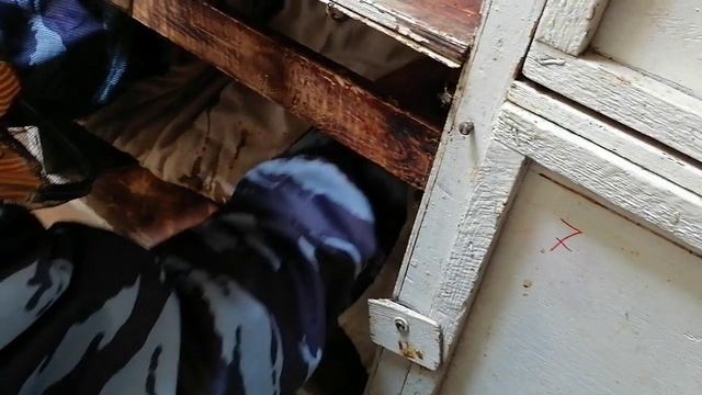 Качество расплода при раннем старте смотреть онлайн