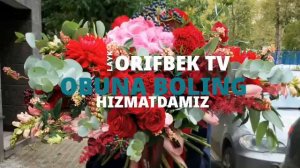 ШУХ ТЕРМА КУШИКЛАР