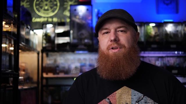 Top 10 DWARF Tarantulas! YOU NEED A Tiny Tarantula