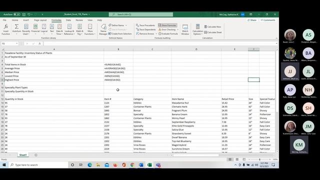 Chapter 15 Excel skills смотреть онлайн