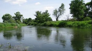 Наш край (То березка, то рябина...).  Детский хор