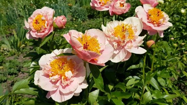 13 мая 2022 г. смотреть онлайн