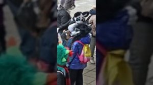 МОЯ ПЕРВАЯ ФУРРИ СХОДКА😳 ✅ фурри схожка по Пушкинской набережной🐺