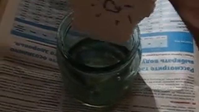 Опыт с растворением пенопласта