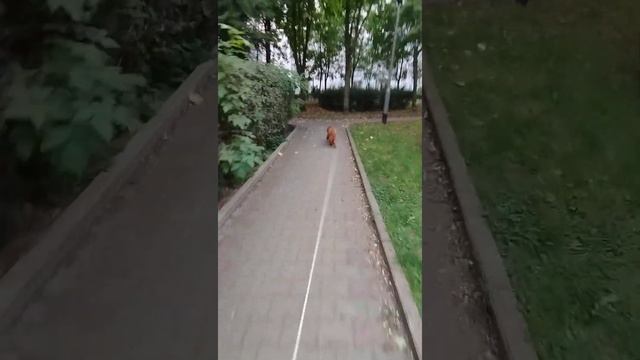LiveTransitions