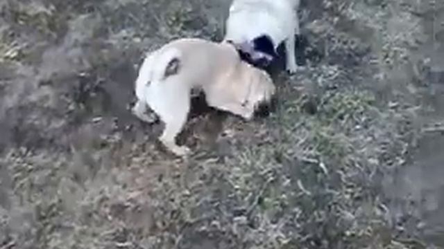 Люся & Катя смотреть онлайн