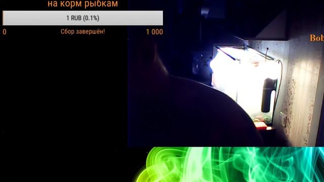 Fish Life жизнь рыбок смотреть онлайн