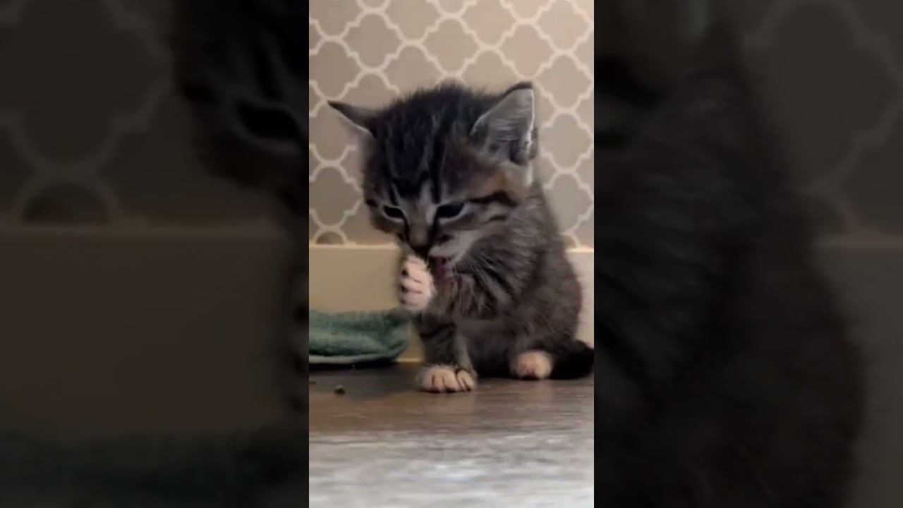  смотреть онлайн