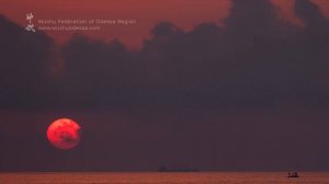 Китайская музыка для ЗАНЯТИЙ ТАЙЦЗИЦЮАНЬ 1 час медитации и расслабления