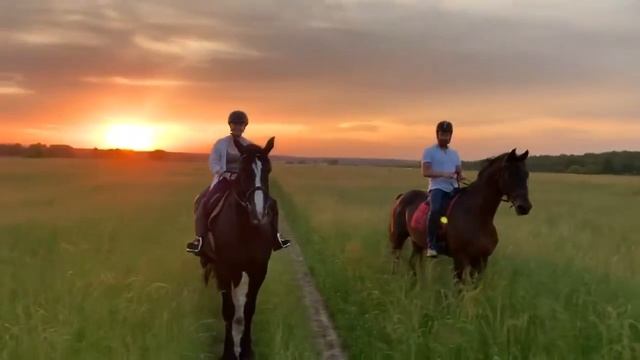 Прогулка в дальние поля, июнь 2020 смотреть онлайн