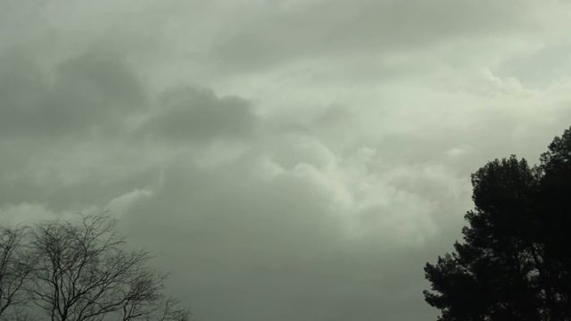Debussy, Michelangeli ♥ Ce qu'a vu le vent d'ouest, Prelude No. 7 смотреть онлайн