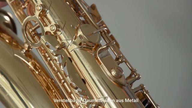 Conn Eb Alt Kinder-Saxophon AS655 (GER) смотреть онлайн