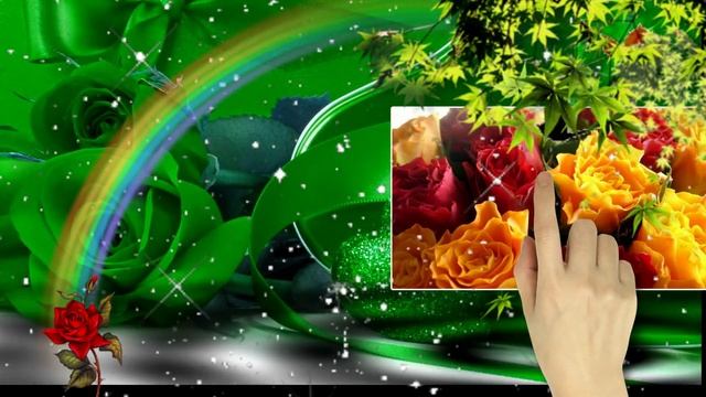 Гаврилюк Олег и Даяна. Белые,желтые красные розы.... смотреть онлайн