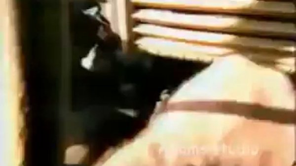 ИНГУШ ГЕРОЙ  INGUSH HERO