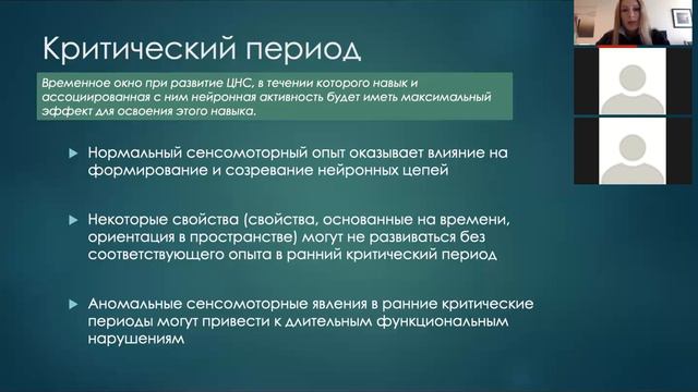 Нейропластичность на протяжении жизни