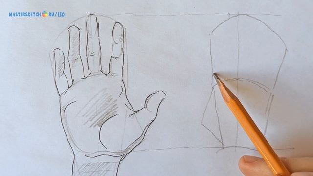 Как рисовать кисть руки. Контурный рисунок и анатомический разбор #2 смотреть онлайн