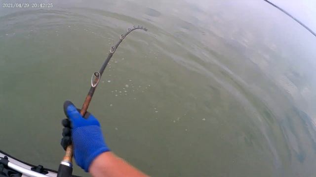 Сомяра пытается перевернуть лодку смотреть онлайн