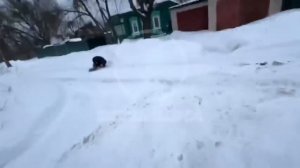 Декстер Декстер | гопник поджидал мою сестру прода | из тг