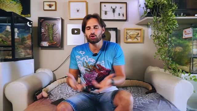 3 Cose Da Sapere PRIMA Di Comprare Un Rettile