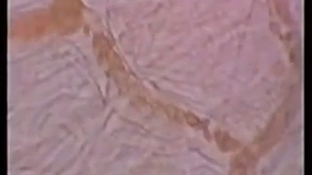 Руководство к Креативному Искусству