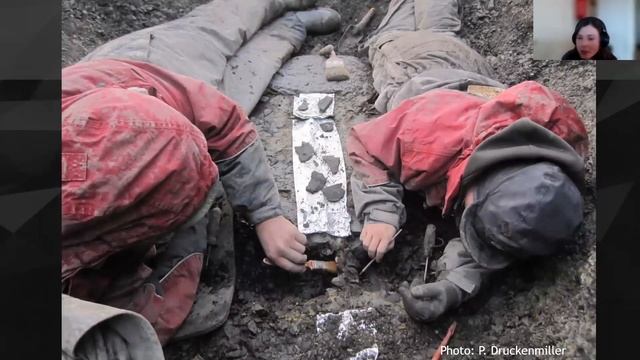 Frozen Fossils: A History of Life in Svalbard смотреть онлайн