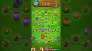 Blossom blast saga level 167,  как пройти 167 уровень?