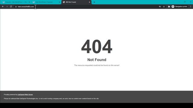 Changer son hébergement WordPress avec Duplicator | Tutoriel смотреть онлайн