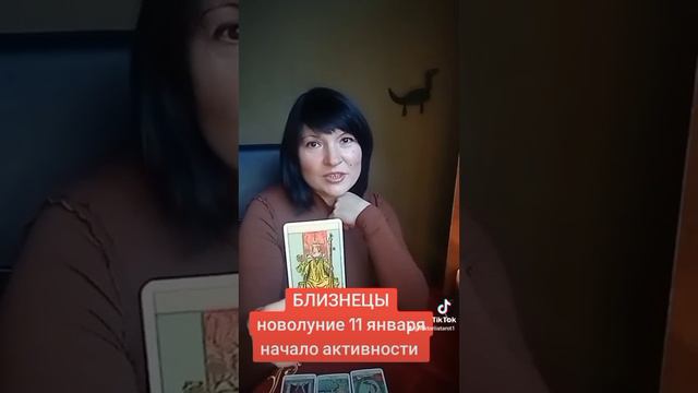 БЛИЗНЕЦЫ - новолуние 11 января. начало активности смотреть онлайн