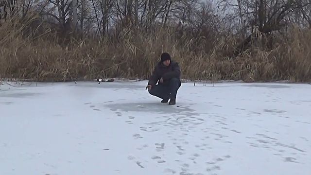 Очередные выходные на природе с друзьями смотреть онлайн